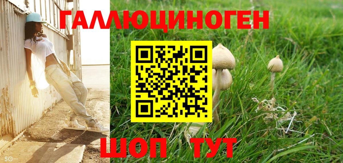 Псилоцибиновые грибы Magic Shrooms  Вход с VPN  Новошахтинск 